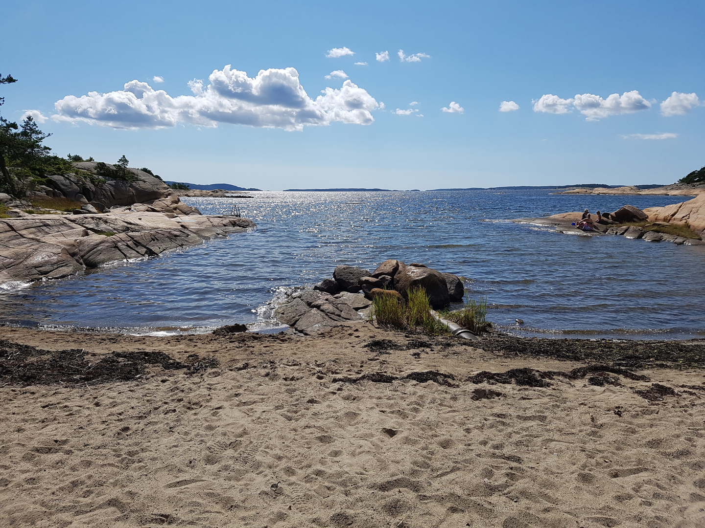 Årsmøte 21 juli 2018