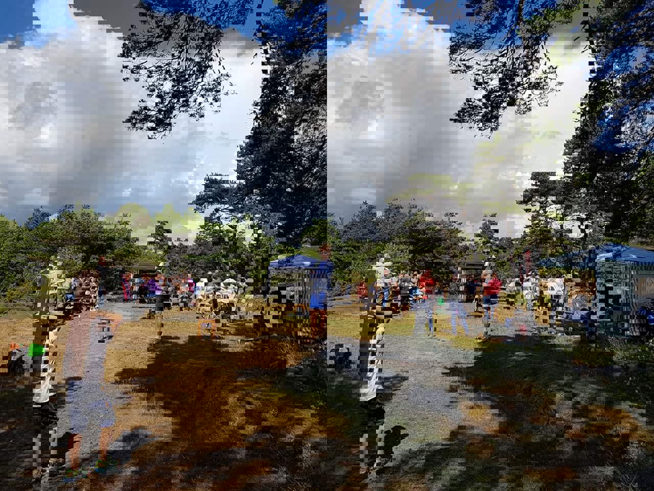 Familie- og aktivitetsdag på Kålvikholmen/øya